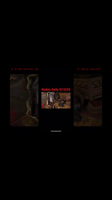 Reda’s Daily 3/12/23