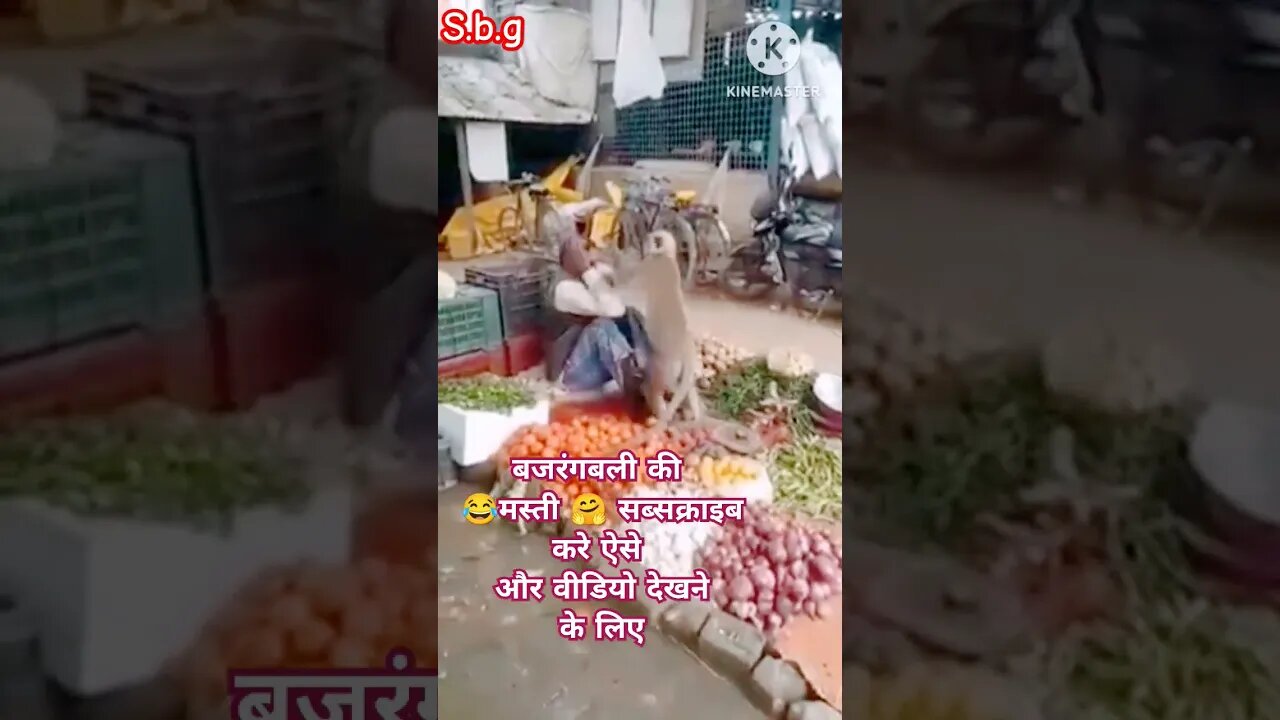 😂Live मस्ती हनुमानजी की🙏 #status #जयश्रीराम #बजरंगबली #viralvideo #ytindiashorts #ytshortsindia