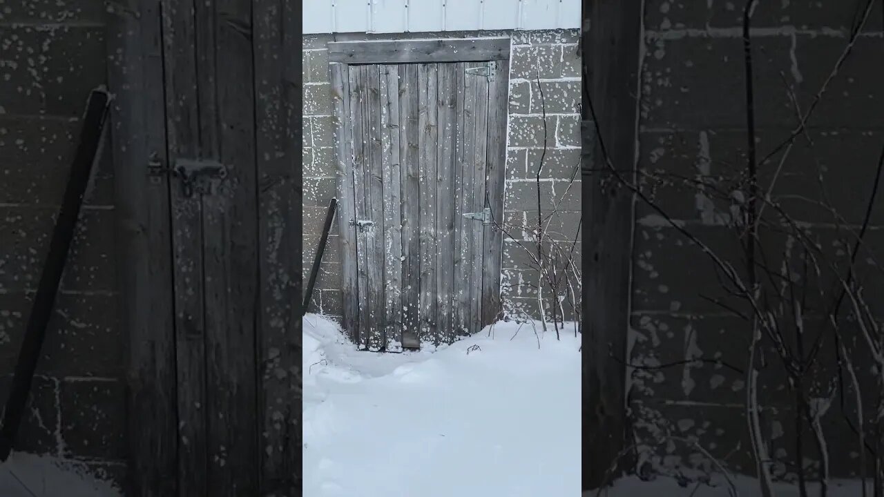 December 2022 Blizzard - On The Farm