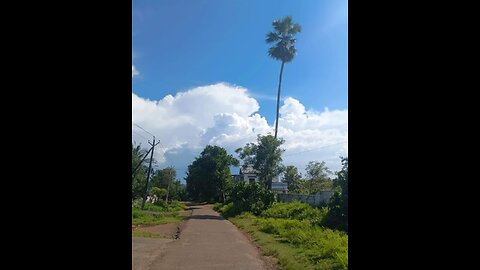 Kerala Vibes