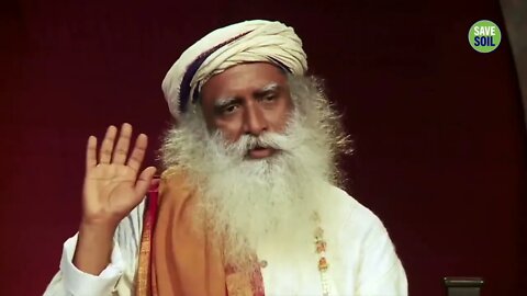 What To Do When Someone Betrays Your Trust Sadhguru Answers