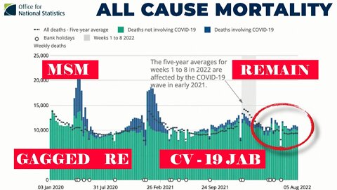 All Cause Mortality Remains High Amid MSM Silence.