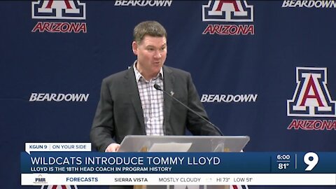 Wildcats introduce Tommy Lloyd