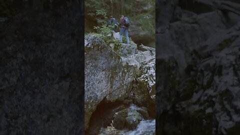 Nature will provide healing. #shorts #outdoors #nature