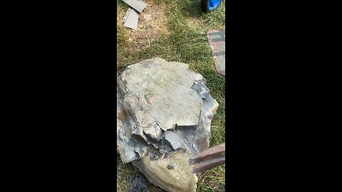 Rock, hounding, septarian Nodule with calcite ￼