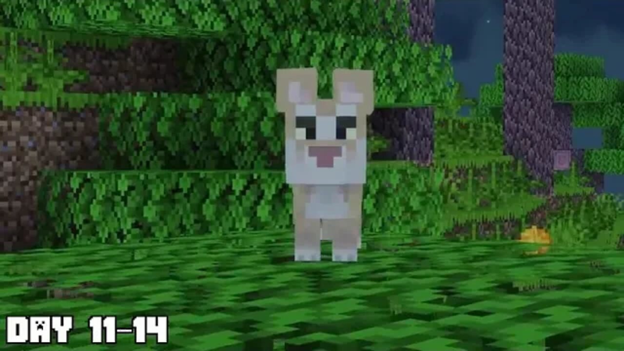 I = Survived = 100 = Days = as = a = LION in Minecraft