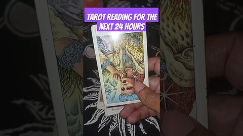 Tarot for the next 24 hours