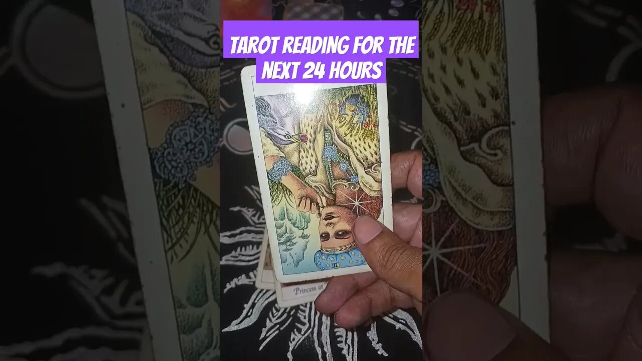 Tarot for the next 24 hours