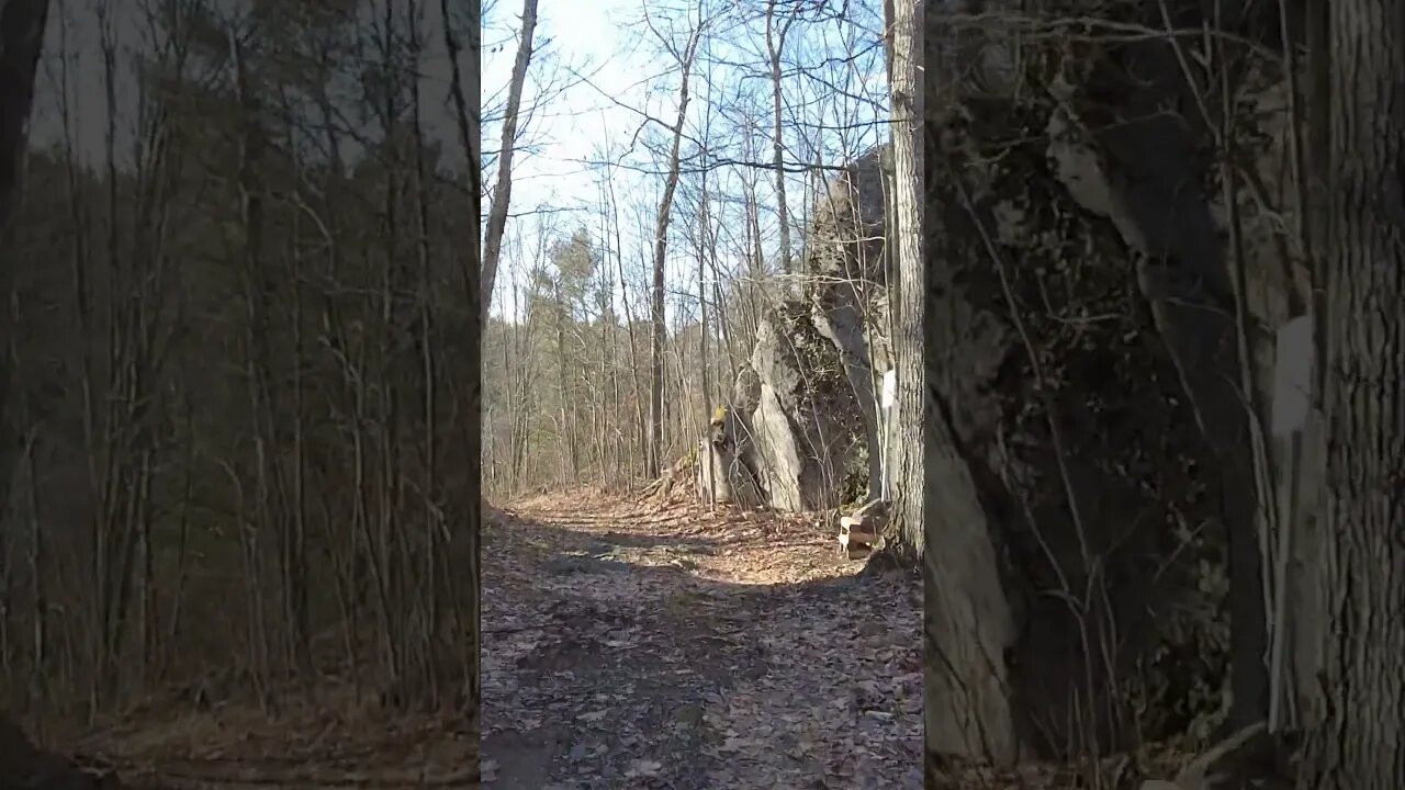 The Devils Gap Hiking Trail In Gravenhurst #short #shortvideo #shorts #shortsvideo #hiking