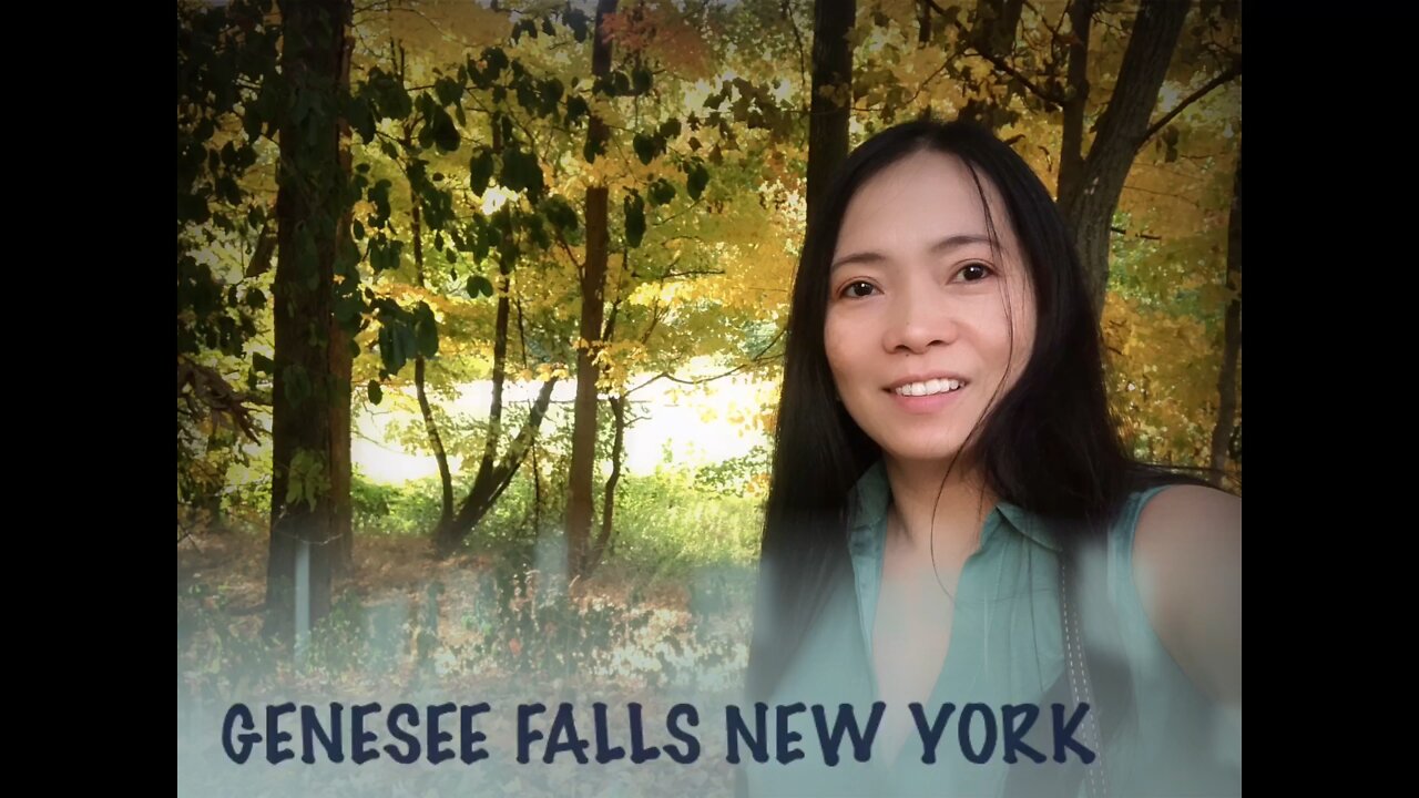 The Genesee Falls New York