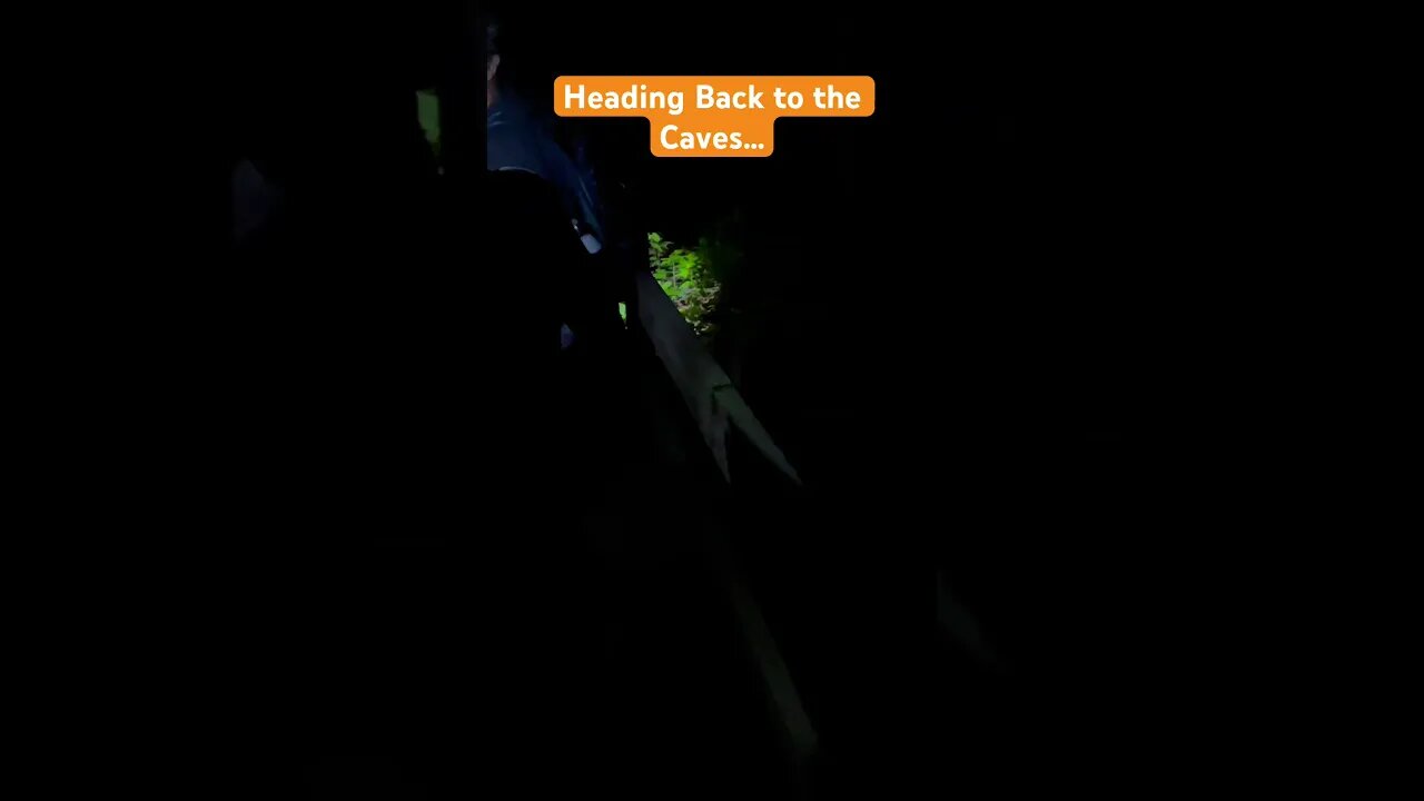 Heading Back to the Caves… #viral #caves #dark #jurassic #creation #tennessee #spooky #darkness