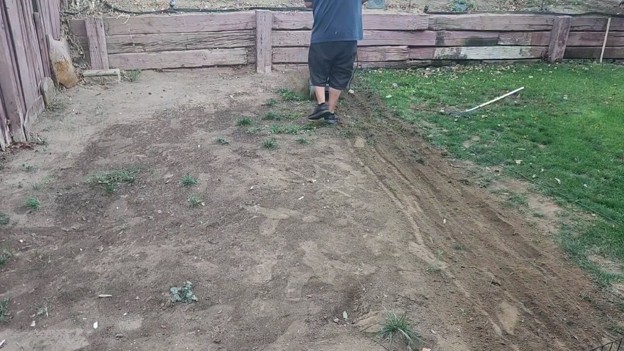 Is It Too Late To Plant Grass ? DIY Lawn Guy