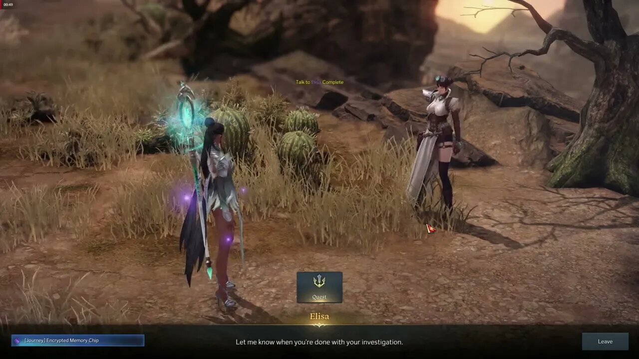 Lost Ark MMORPG Encrypted Memory Chip