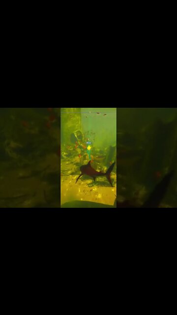 maneater Dead horse lake circle of violence