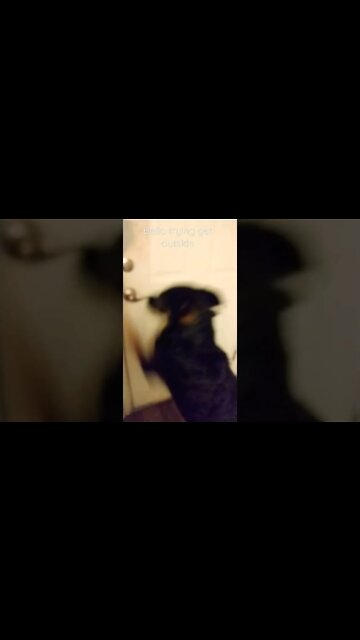 Bella opening the door