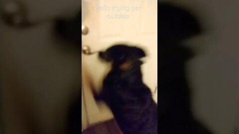 Bella opening the door