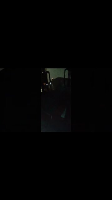 #dogshow , #amimals , #dogs , #shorts