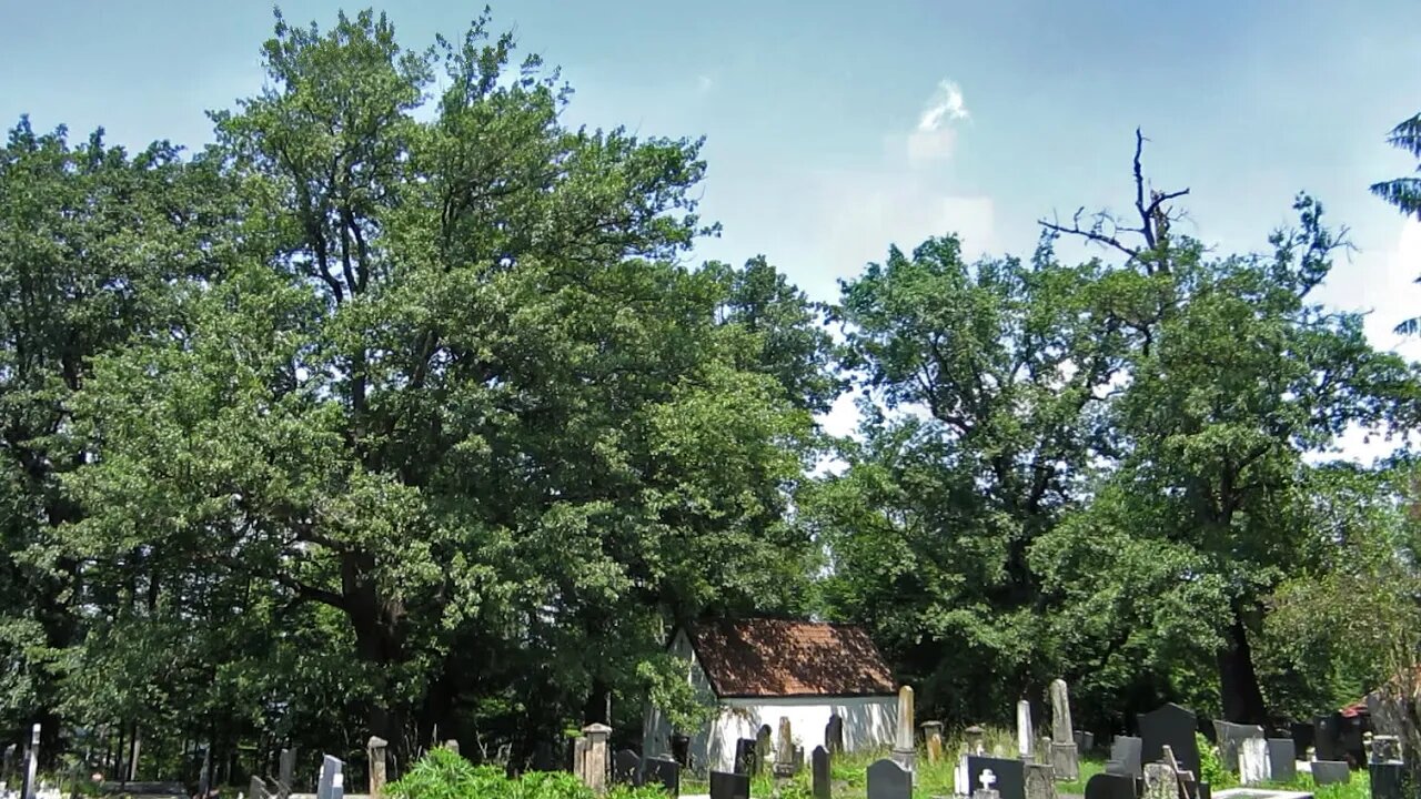 Црква Светог кнеза Лазара на Палибрчком гробу (The Church of Holy Prince Lazar at Palibrčki Grob)