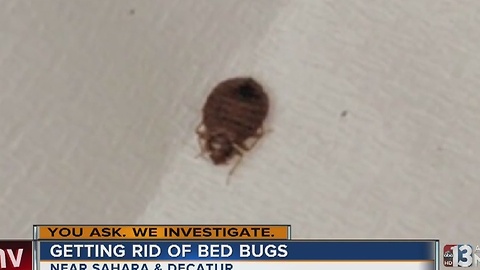 Call center doing more to treat bed bugs
