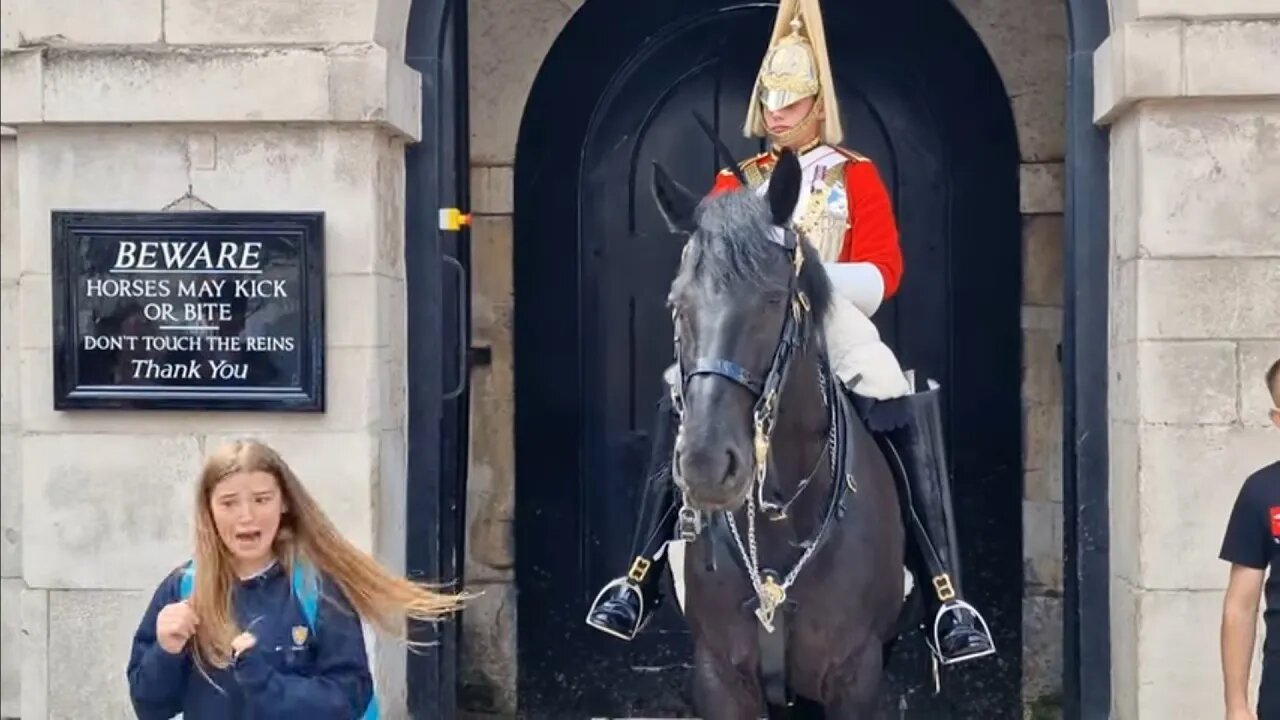 Guard laughs at tourist running from the horse #horseguardsparade
