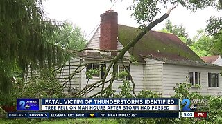 89-year-old man killed by fallen tree identified