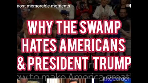 WHY THE SWAMP HATES AMERICANS & PRESIDENT TRUMP