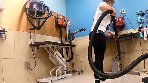 A Whirlwind of Feces, Urine, & Hair | Cleaning a Grooming Salon