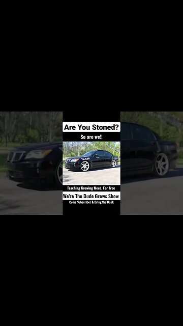 Subscribe and Ask Us Anything! Cannabis Growing.;Expert Techniques. The Dude Grows Show 🔥