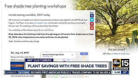 Score FREE trees that can make buildings up to 20 degrees cooler, and cut down the energy bill!