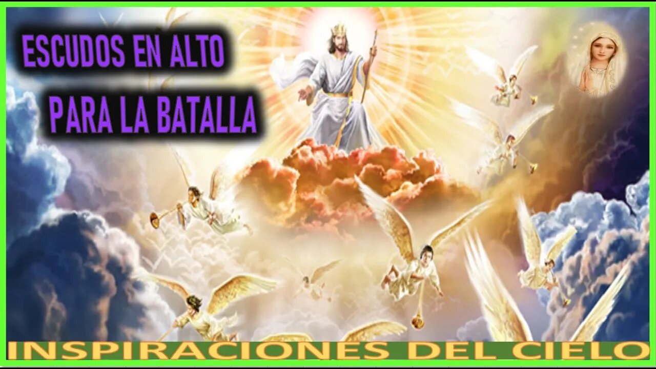 ESCUDOS EN ALTO PARA LA BATALLA - MENSAJE DE MARIA SANTISIMA A INSPIRACIONES DEL CIELO SALTA ARGE
