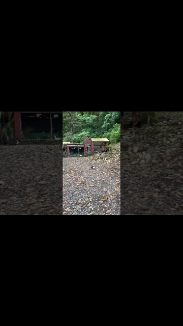 Comala near volcano #shorts