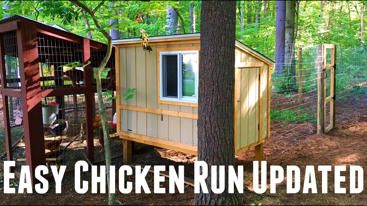 How to Build a Chicken Run Easy | DIY Chicken Run Ideas | Building a Free Range Chicken Run