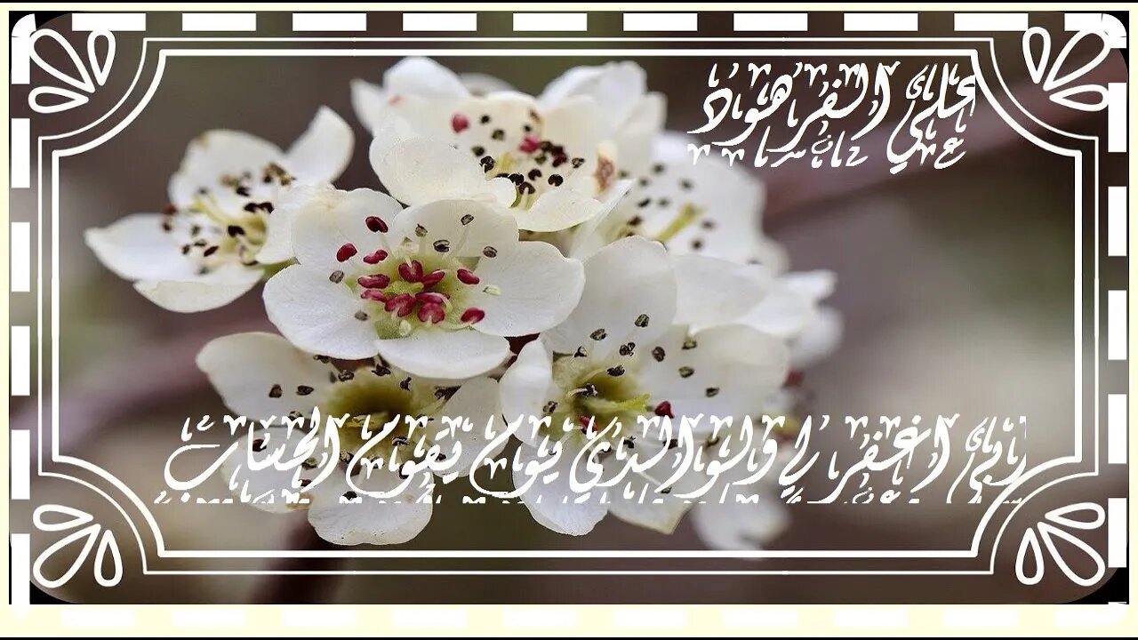 لا يحب الله الجهر بالسوء تلاوات@nsrm11