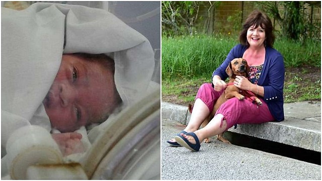 Dog barked loudly to give a little girl a new chance in life .