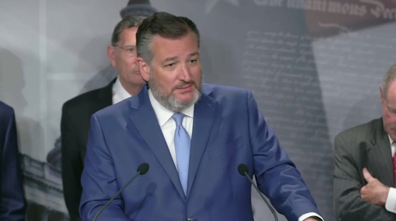 Sen Cruz: Which Writer Thought It Would Be A Good Idea To Call Hispanics Tacos?