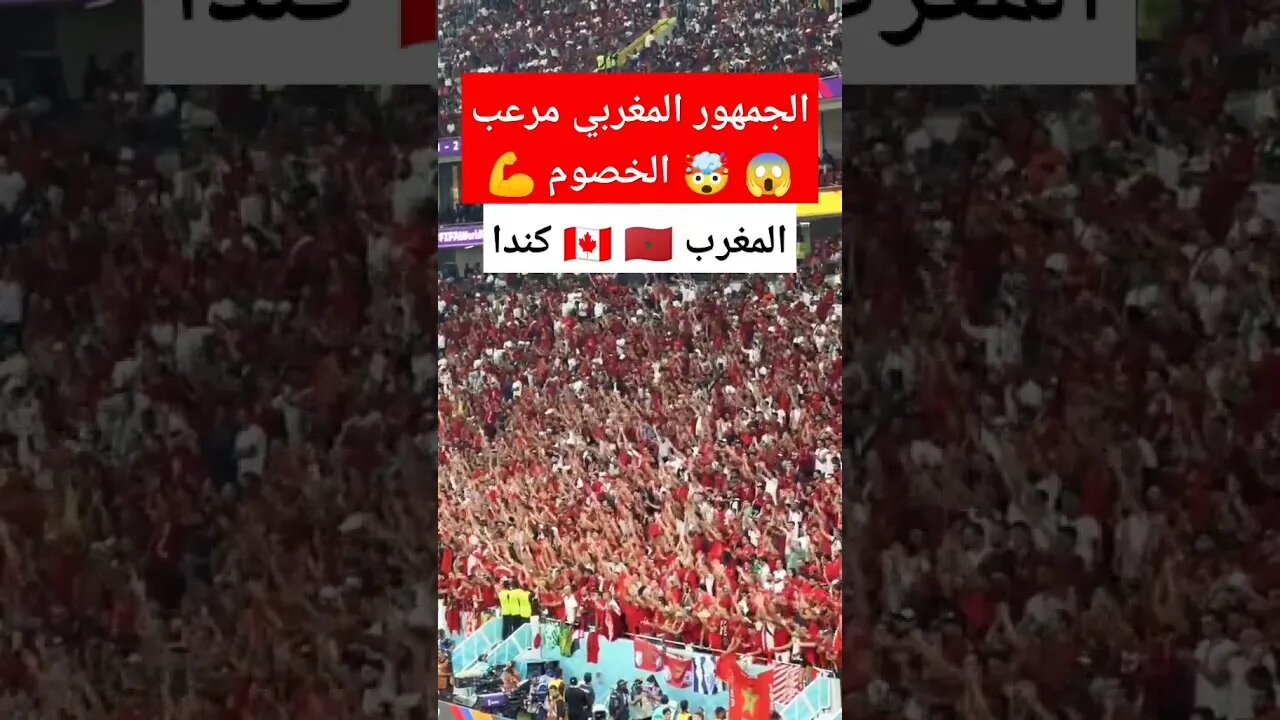 الجمهور المغربي يرعب الخصوم المغرب وكندا كأس العالم