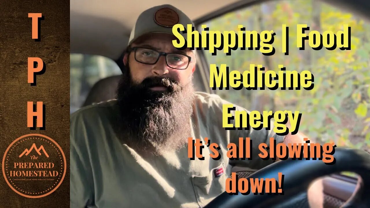 Shipping | Food | Medicine | Energy. It’s all slowing down!