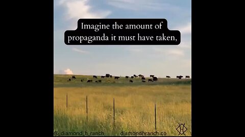 Propaganda... Lies.... and Cows