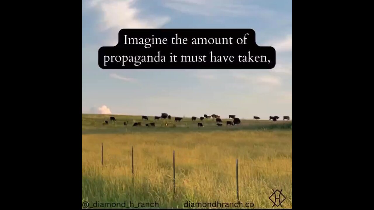 Propaganda... Lies.... and Cows