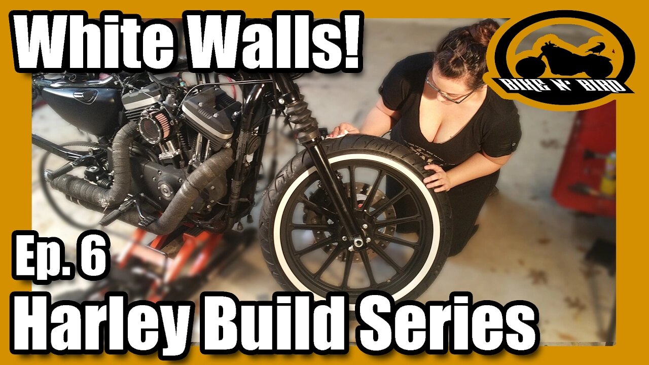 Harley Iron 883 Sportster "Build" Series - Ep.6 Paint and New Tires