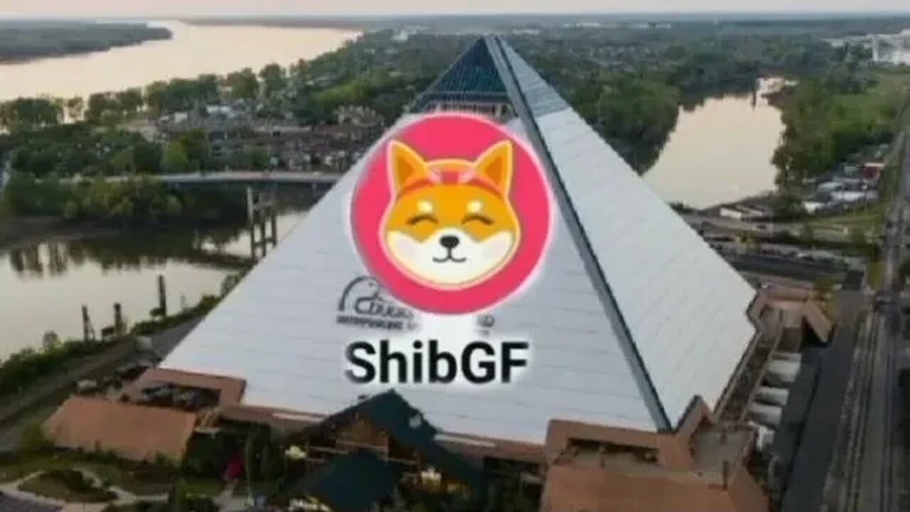 Shibgf, QOM, Bitcoin & So Much More.