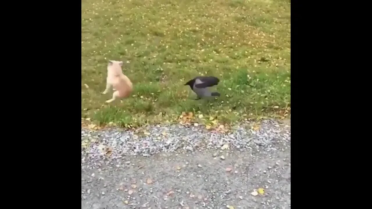 oooooooyyyyyyyy!!!!!