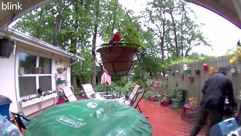 SOUTH_VIDEO_DOOR_BELL_2023-05-02T13_43_57-0400.mp4