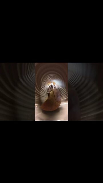 The view from inside while throwing a bottle - watch to the end -