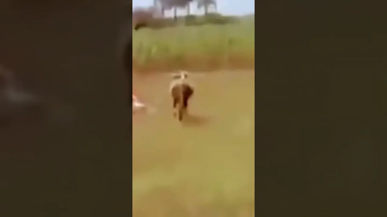 rip,,