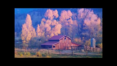 The Best Trees to Add Beautiful Fall Foliage to Your Yard