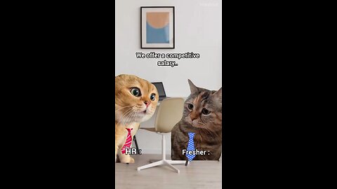If Cats 🐈 Went to Office, what would happen?