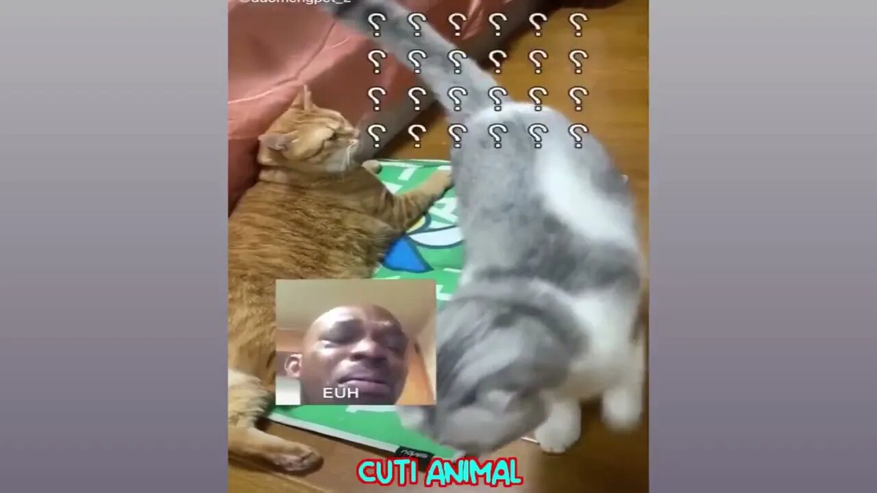 Funny Dog And Cat ππΆπ» Funniest Animals #143 9