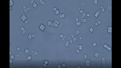 COVERT 'CYBORGISATION' is being IMPLEMENTED through the C19 BIO-CHEMICAL Weapon PLATFORMS- 10-14-22