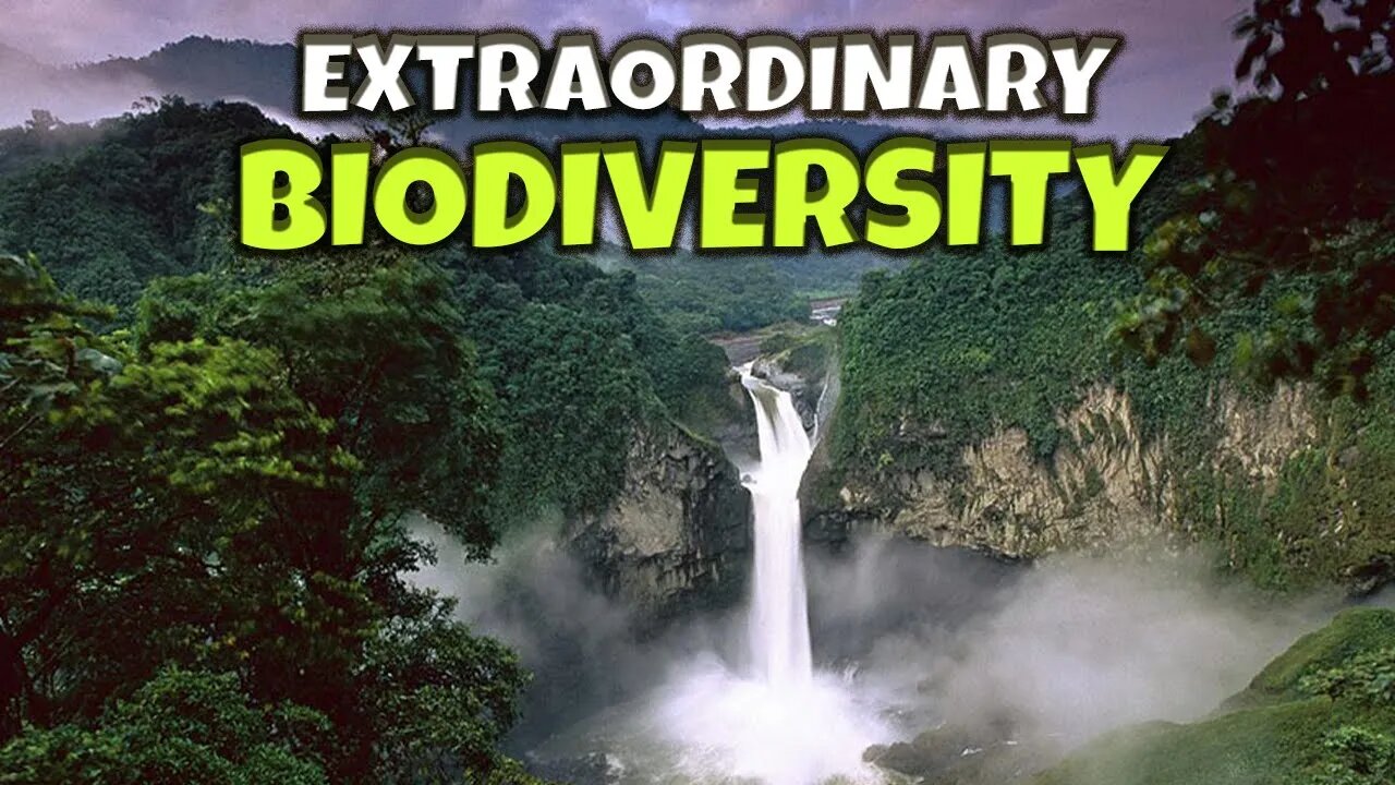 NATURE'S MOST POTENT CLIMATE SOLUTIONS | THE EXTRAORDINARY BIODIVERSITY | INDIGENOUS POPULATIONS